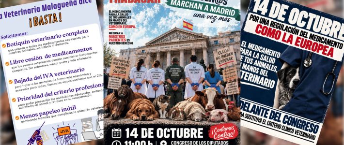 Nos vamos a Madrid. Esto no para !! Nos vamos a Madrid. Esto no para !!